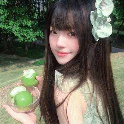 波士顿布莱奇中国历险记