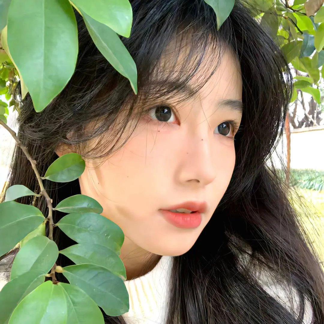 美术馆旁的动物园